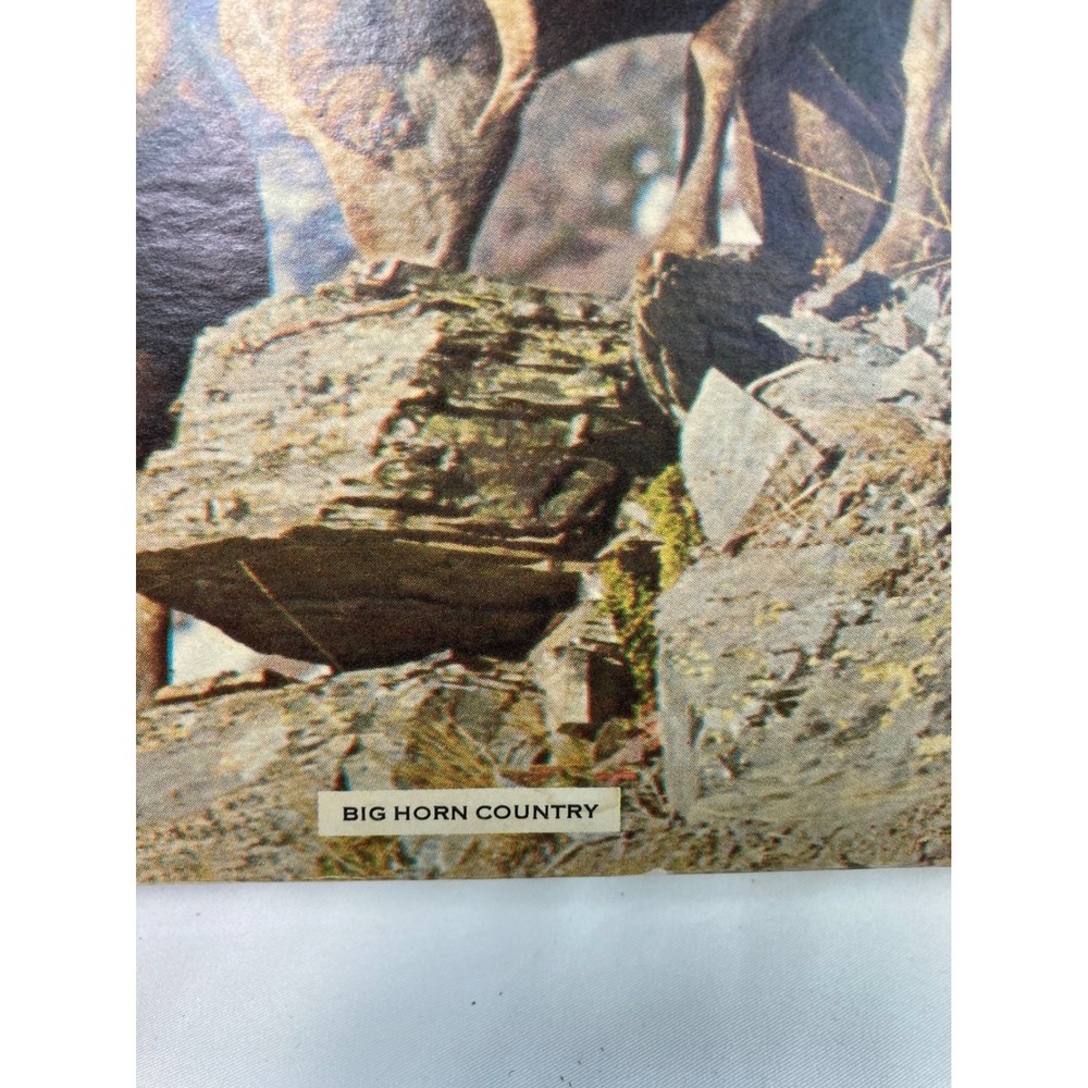 Vintage TUCO Big Horn Country Puzzle 350-400 Pieces No 5980 - Picture 3 of 5